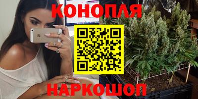 apvp Рыбинск