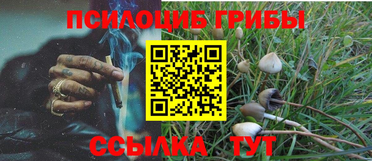 Петрозаводск  наркота  Вход с VPN  Псилоцибиновые грибы ЛСД 